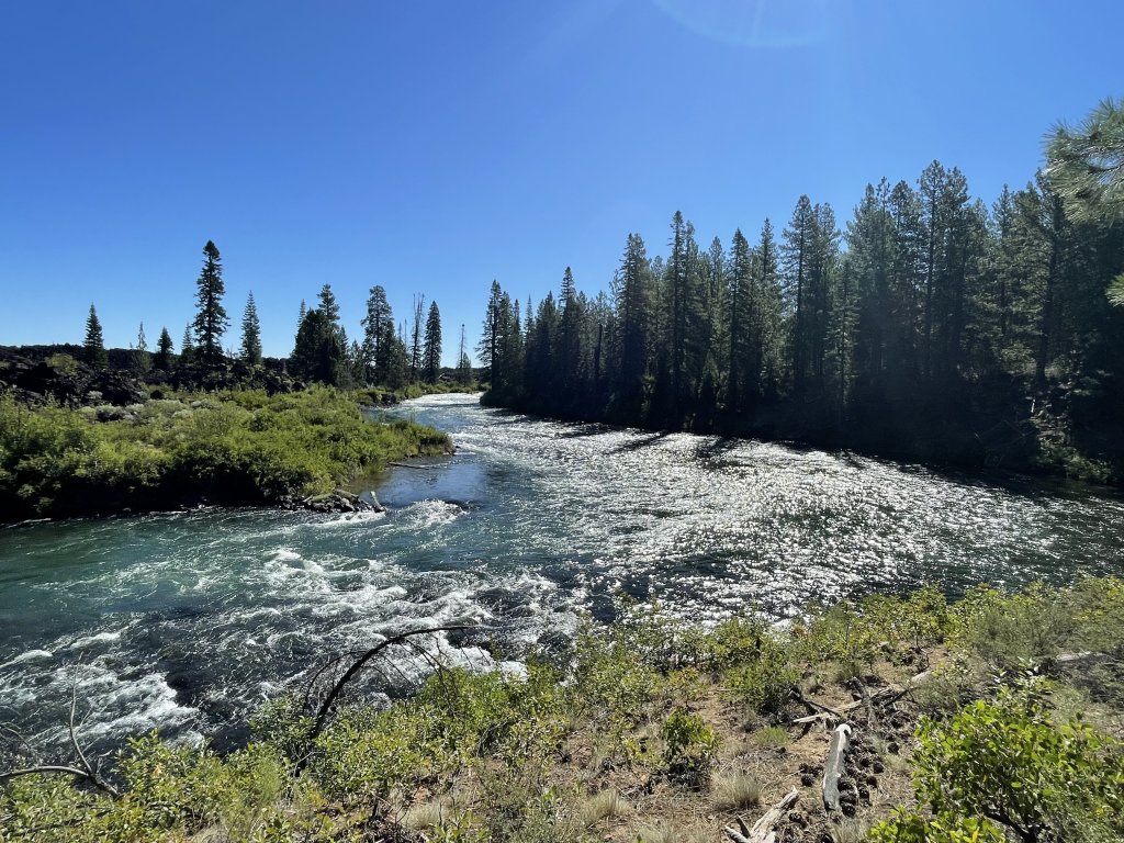 IMG_3414.jpeg