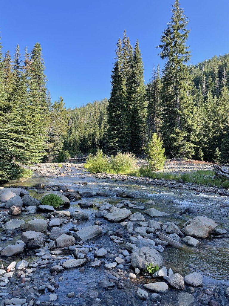 IMG_3458.jpeg