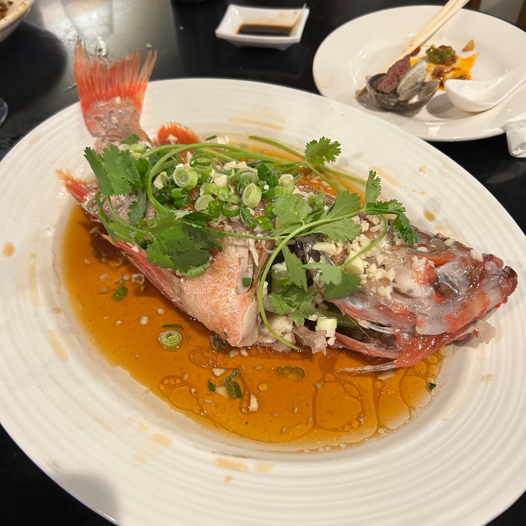 IMG_3572.jpeg