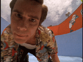 IMG_3792.gif