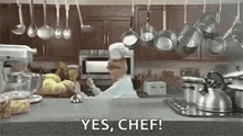 IMG_4055.gif