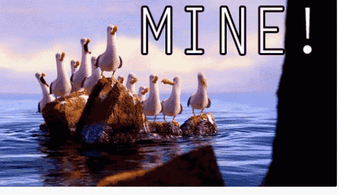 IMG_4315.gif