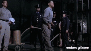 IMG_4341.gif