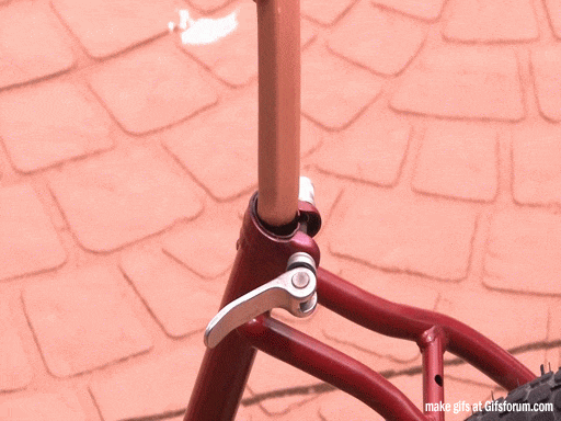 IMG_4422.GIF