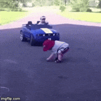 IMG_4629.gif