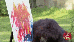 IMG_4845.gif