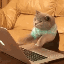 IMG_4852.gif