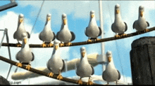 IMG_4860.gif