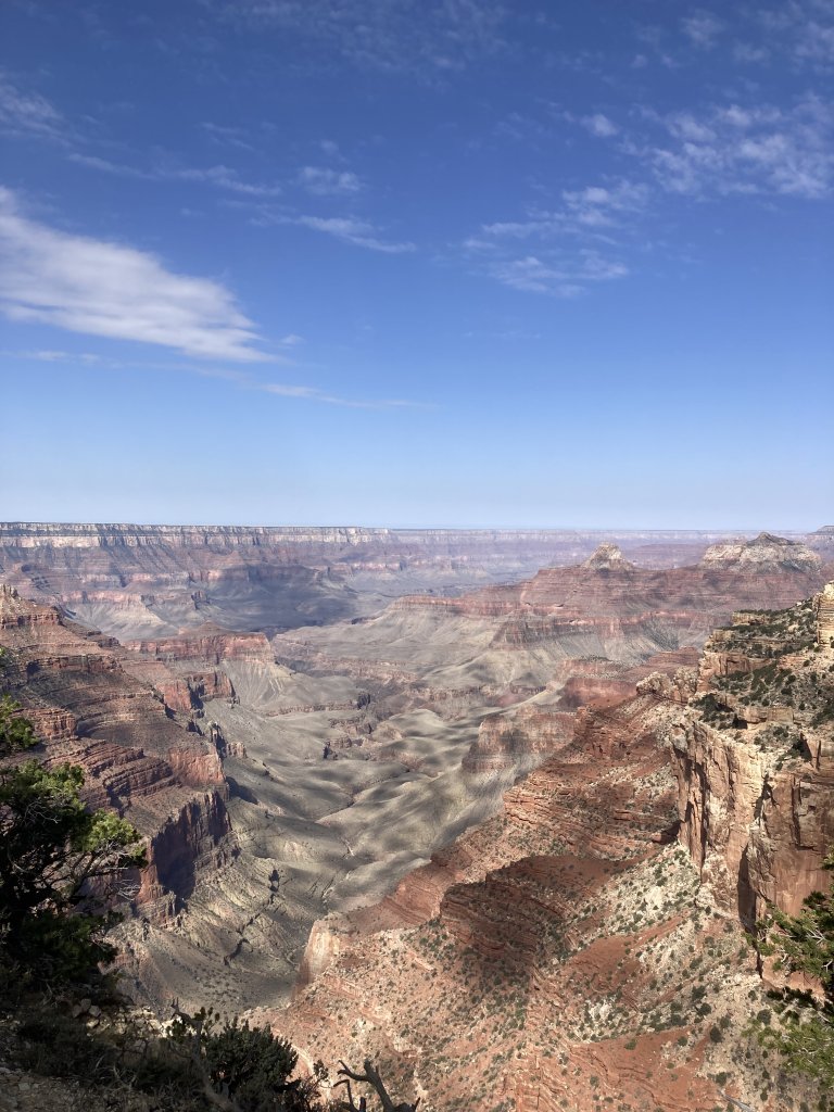 IMG_4874.JPG
