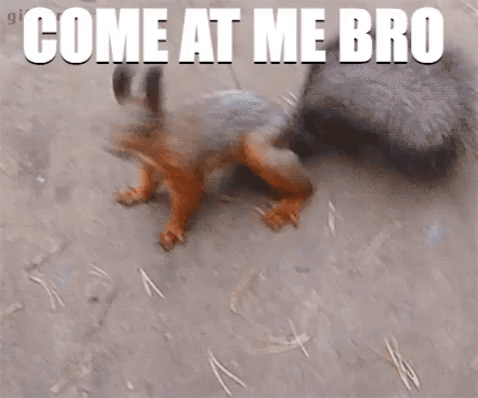 IMG_4937.gif