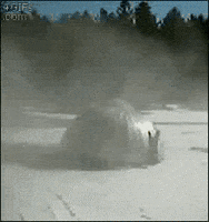 IMG_5533.gif