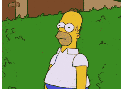 IMG_6097.gif