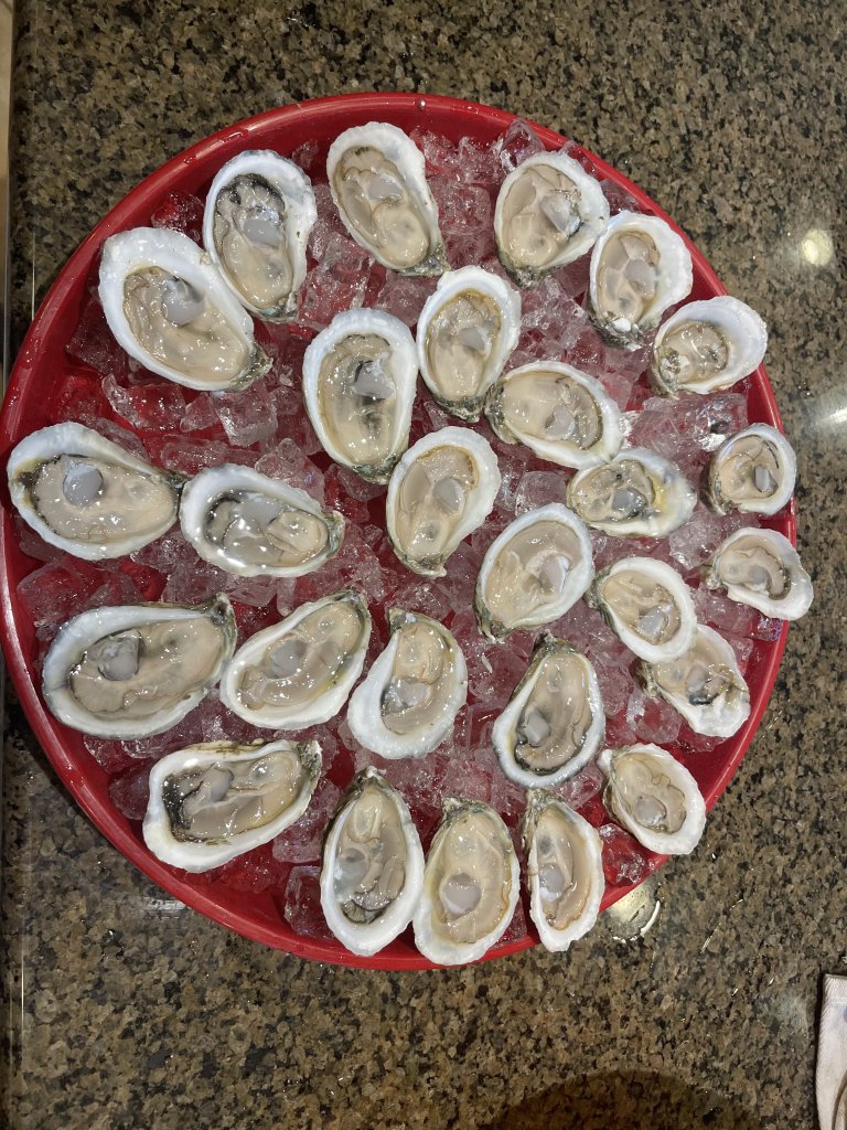 IMG_6496.jpeg