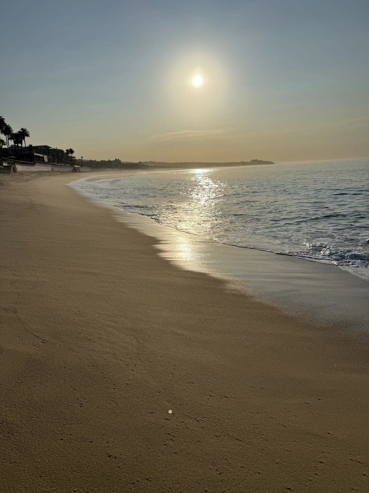IMG_6610.webp