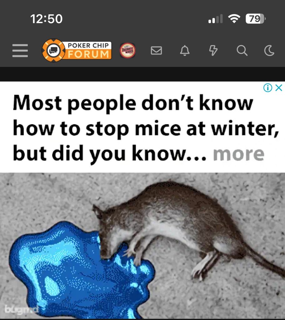 IMG_6630.jpeg