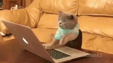 IMG_6667.gif