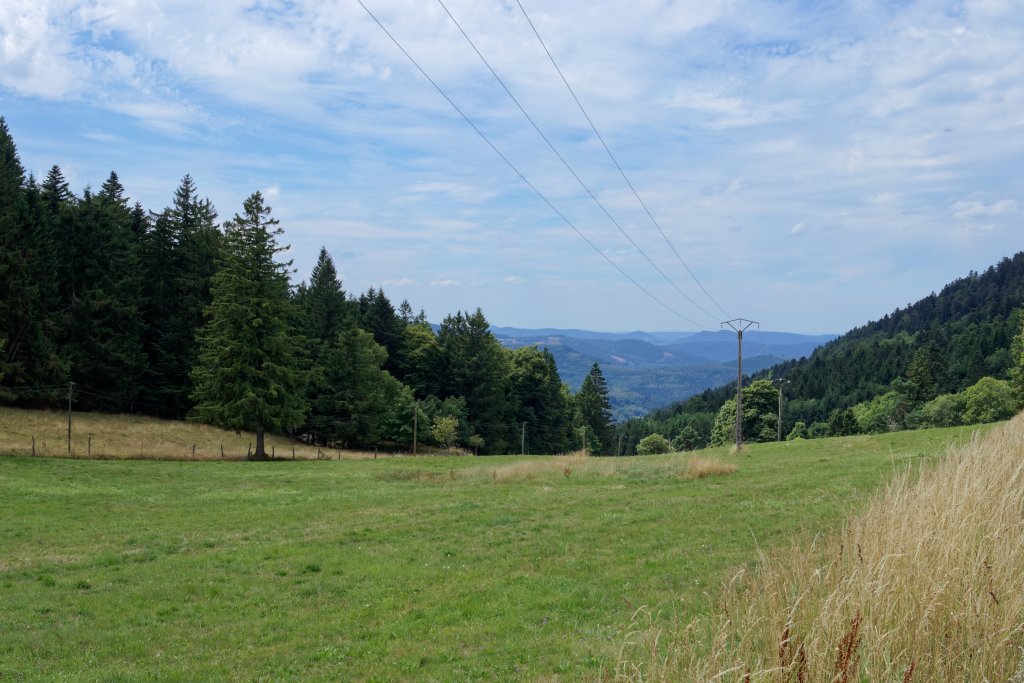 IMG_7240_DxO.jpg