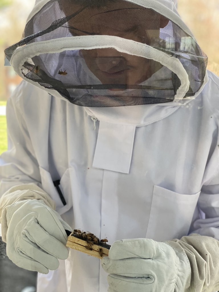 IMG_7409.jpeg