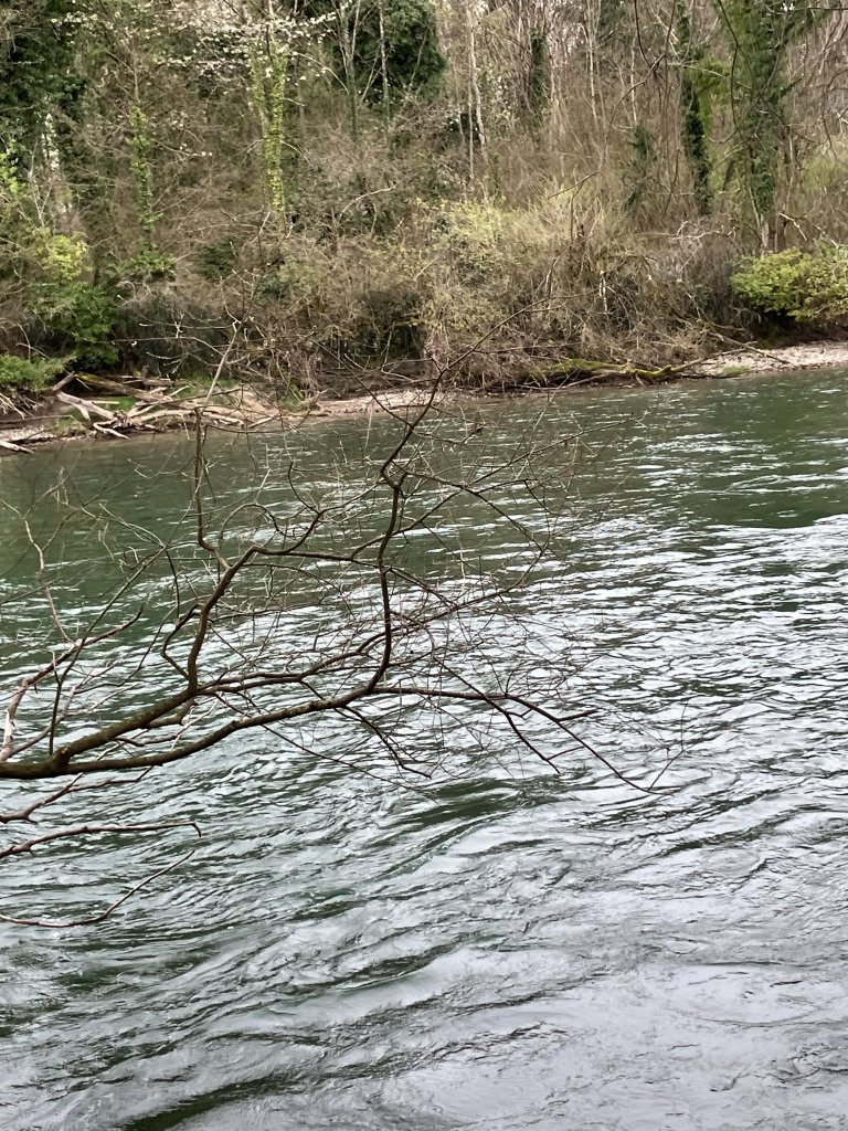 IMG_7621.jpeg