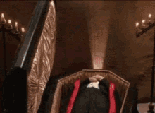 IMG_7861.gif