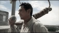 IMG_8031.gif