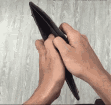 IMG_8046.gif