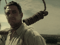 IMG_8064.gif