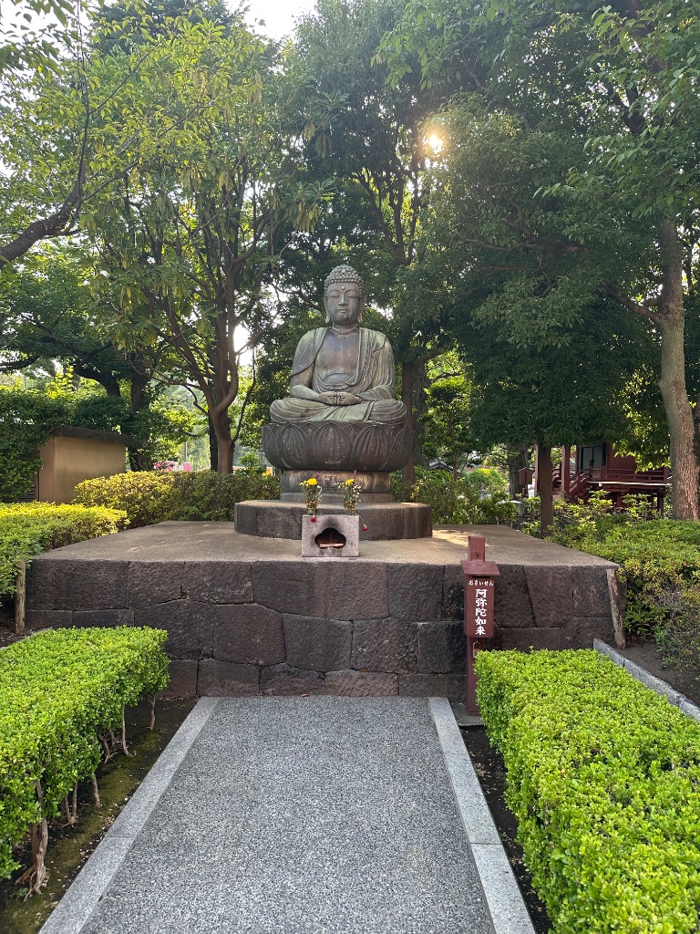 IMG_8078.jpeg