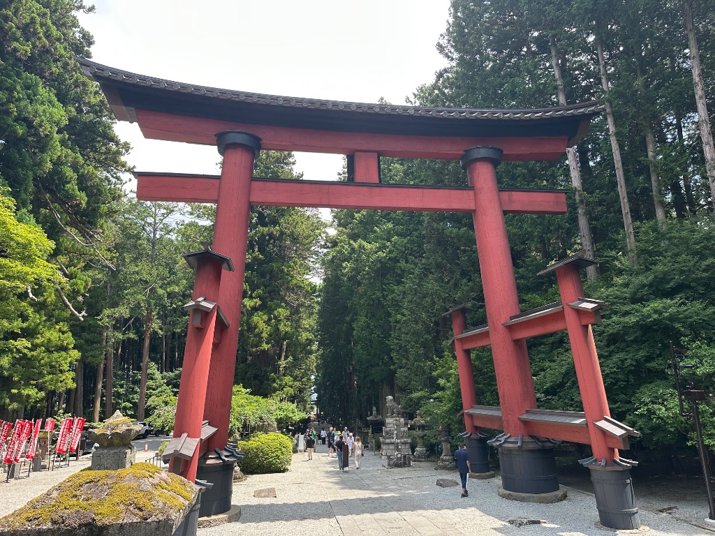 IMG_8107.jpeg