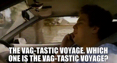 IMG_8252.gif
