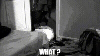 IMG_8699.gif