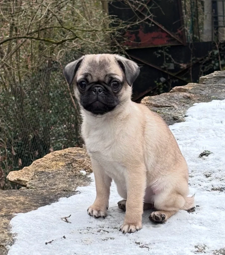 IMG_8755.webp