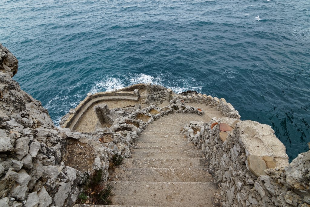 IMG_8878_DxO.jpg
