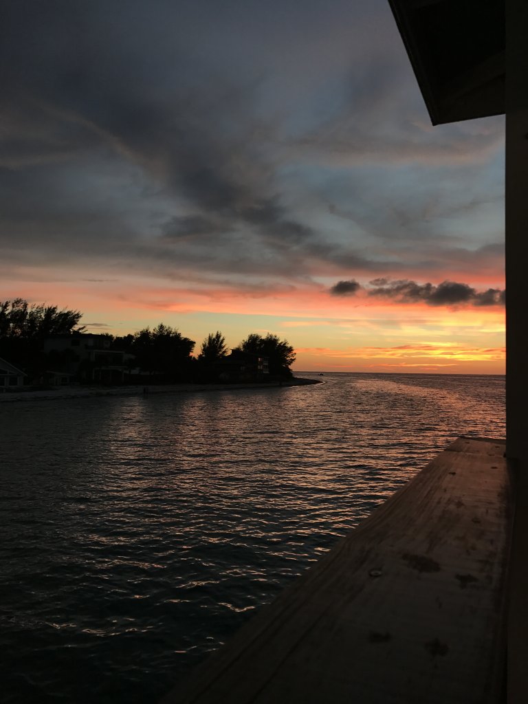 IMG_8897.JPG