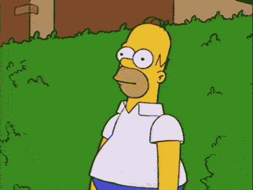 IMG_8953.gif
