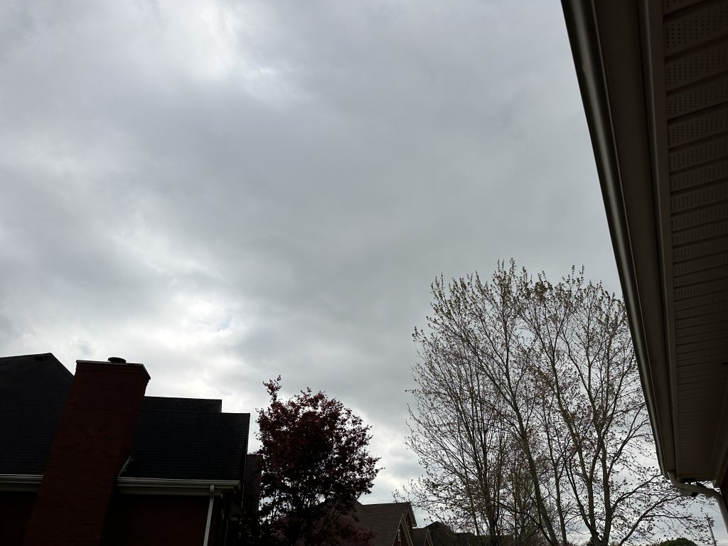 IMG_9505.jpeg