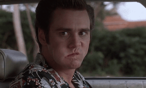 IMG_9511.gif