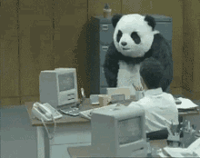 IMG_9741.gif