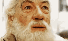 IMG_9799.gif