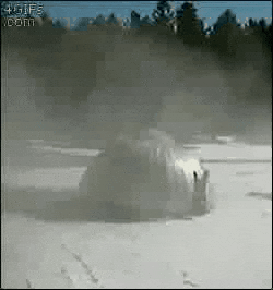 IMG_9989.gif