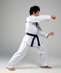 img_taekwondoSkill_img11_03.jpg