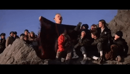 InformalBlaringGodwit-size_restricted.gif