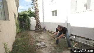 jAy_P5.gif