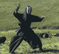 k8qwzx86fv891.gif