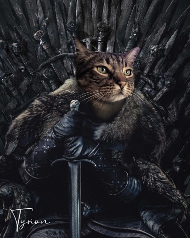 king-in-the-north-custom-pet-poster.jpg