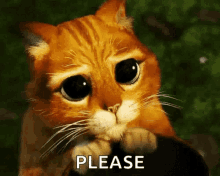 kitten-eyes-please.gif