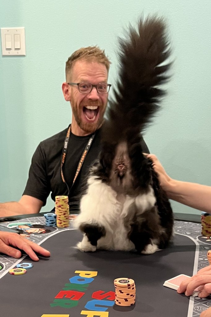 kitty cat bunghole.jpeg