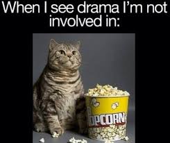 kitty.jpg