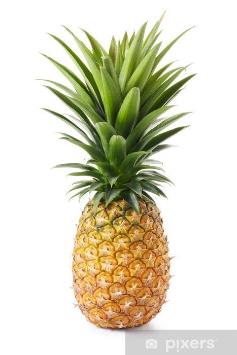 klistermaerker-ananas.jpg.jpg