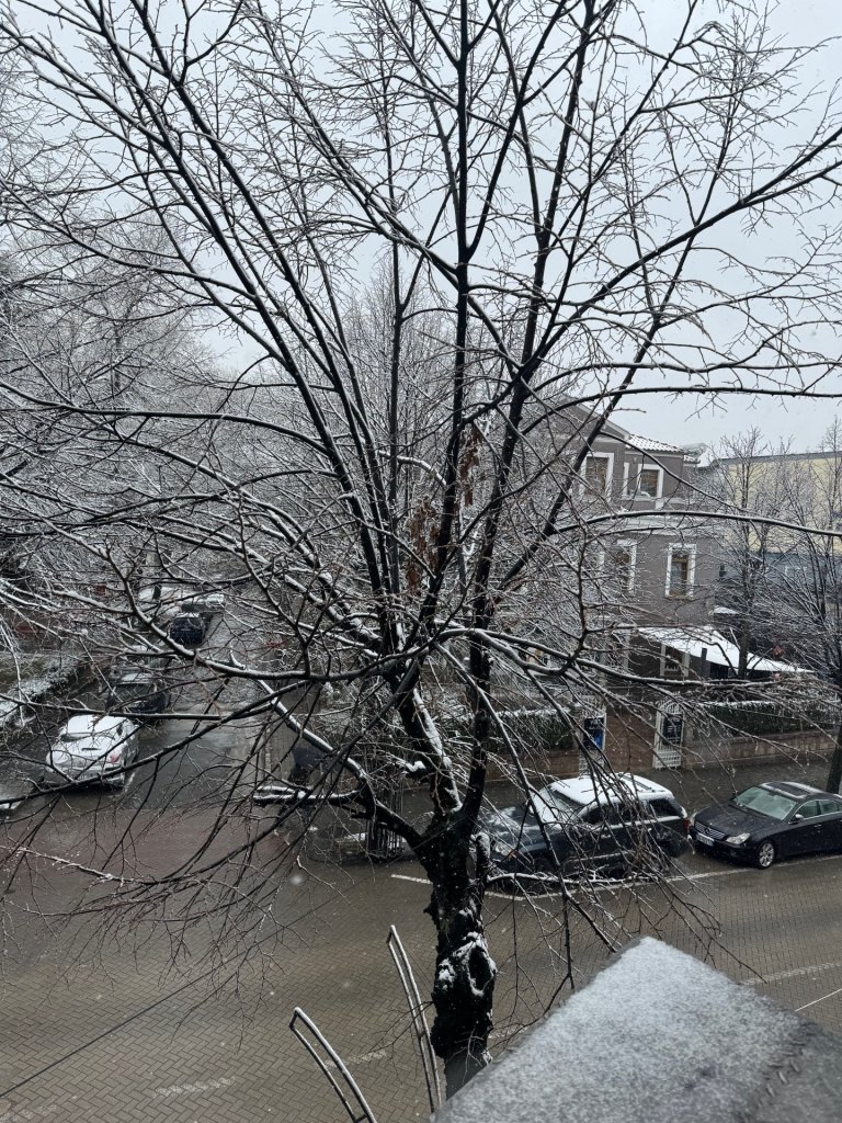 Korca Snow_IMG_0091.jpg